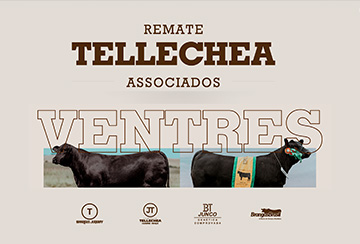 REMATE TELLECHEA ASSOCIADOS